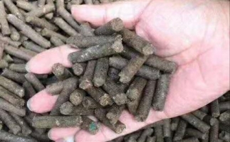 水果渣越來(lái)越受歡迎，因?yàn)樗某霈F(xiàn)—生物質(zhì)顆粒機(jī)設(shè)備