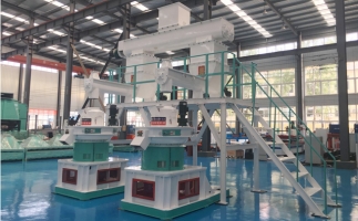 補貼時代，生物質(zhì)顆粒市場如何了呢？你想知道的在這里