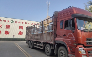 忙碌的五月，忙碌的發(fā)貨，金格瑞顆粒機(jī)生產(chǎn)線發(fā)往全國(guó)各地