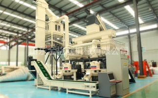 辦木屑顆粒燃料廠需要準(zhǔn)備哪些工作？山東顆粒機(jī)廠家和您說說