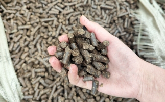 木屑顆粒機將秸稈變廢為寶，降碳節(jié)能一舉兩得