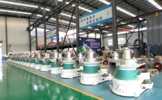 新手開顆粒廠，該選小型還是大型木屑顆粒機？